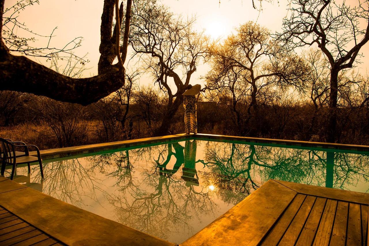 Safari Moon Luxury Bush Lodge Hoedspruit Bagian luar foto