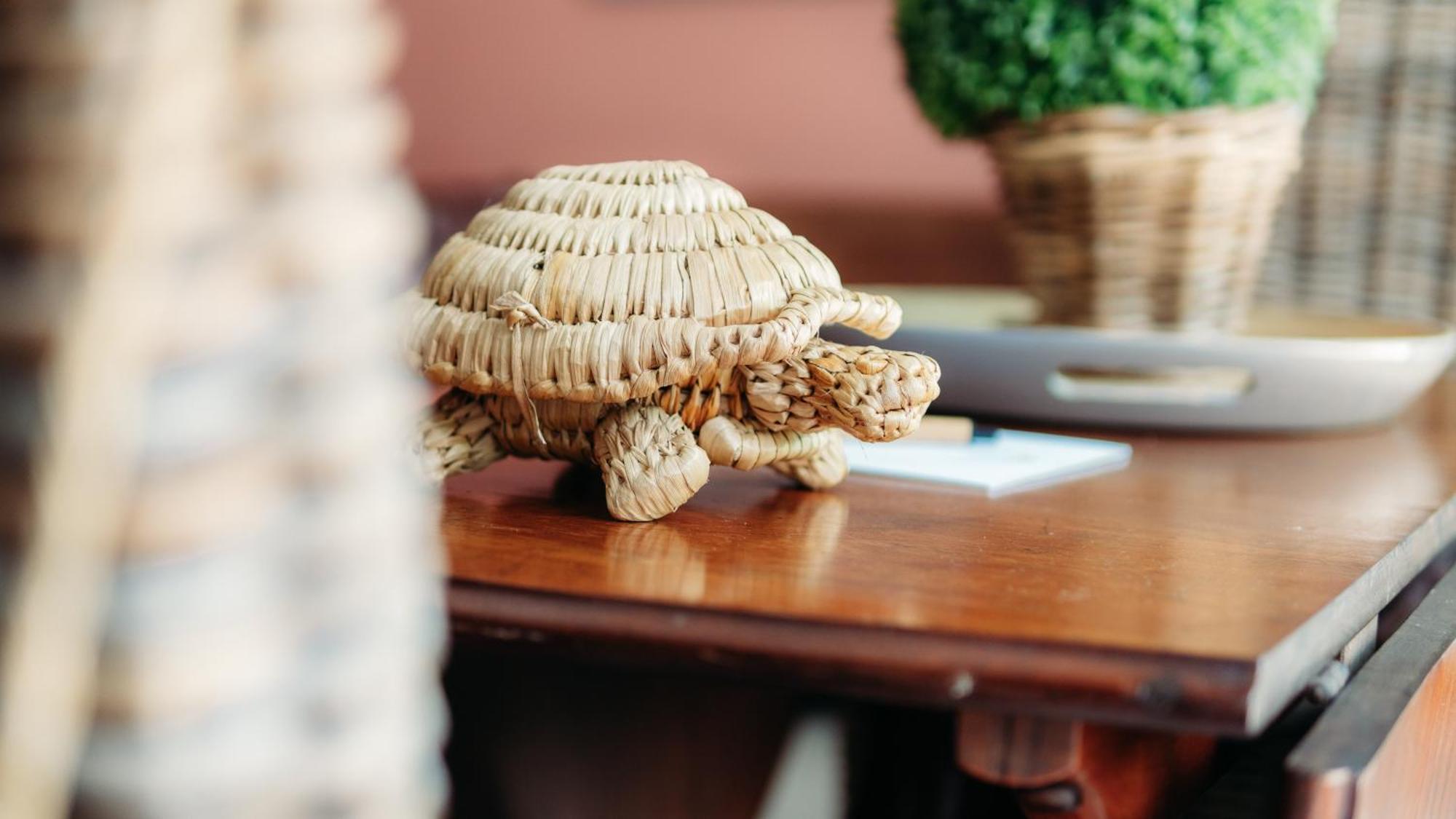 Safari Moon Luxury Bush Lodge Hoedspruit Bagian luar foto